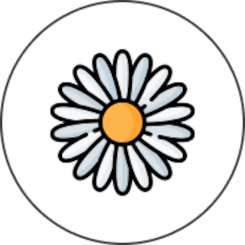DAISY