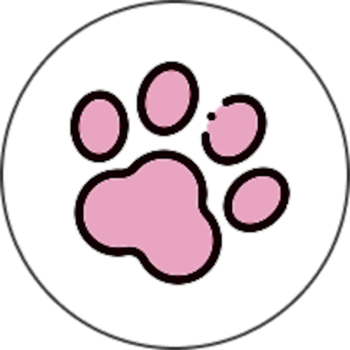 猫と一緒