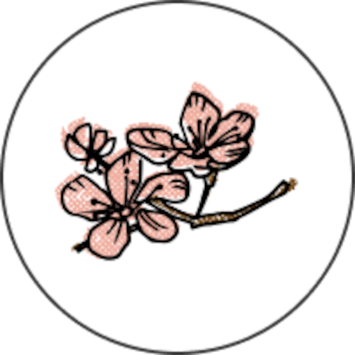 桜2025