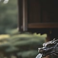 森の神社 11枚目