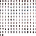 1000枚) RQダイナマイト 1 12枚目
