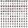 1000枚) RQダイナマイト 1 11枚目