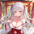 銀髪の巫女30枚セット 4枚目