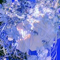 青に沈む花 2枚目
