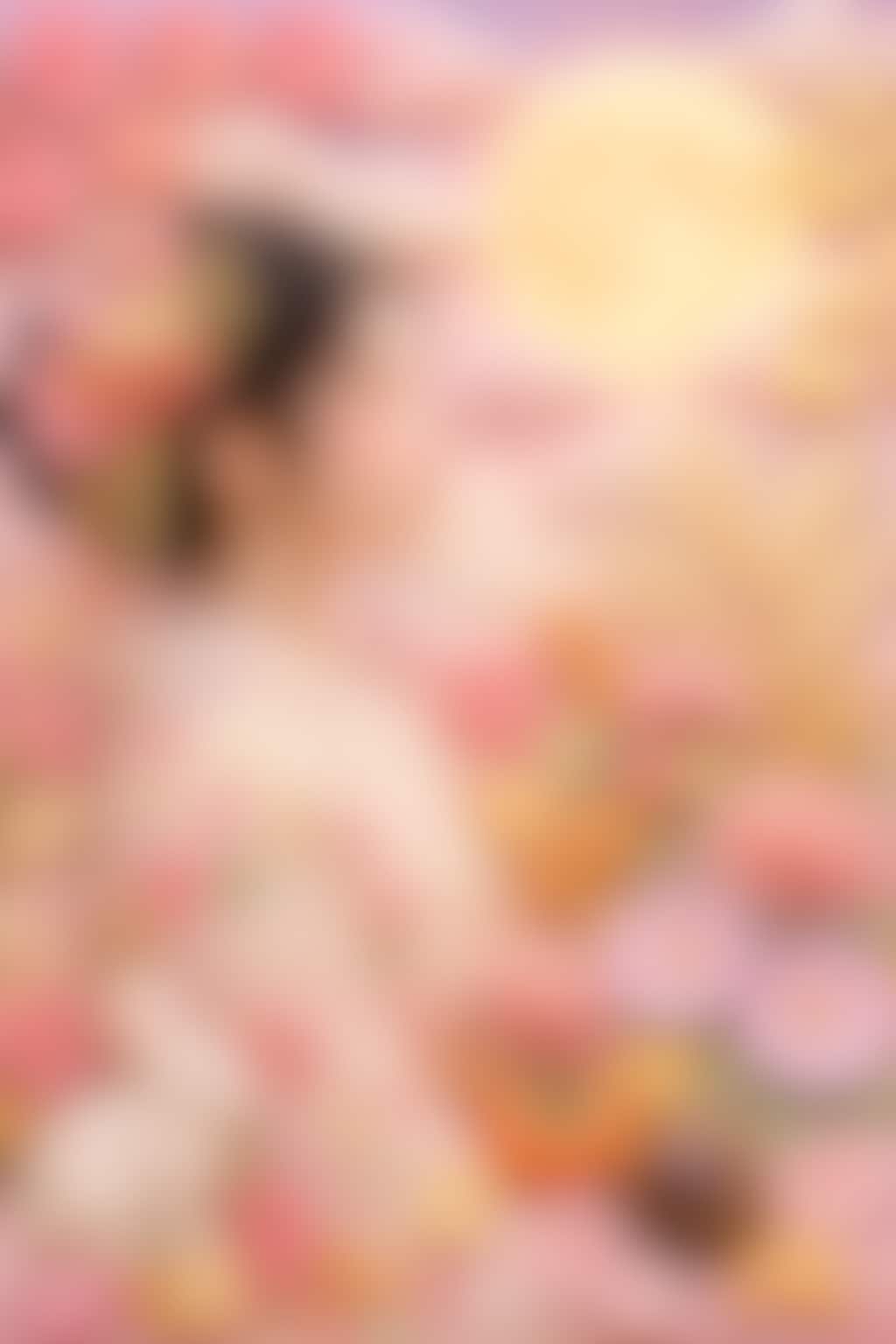 月華錦夢