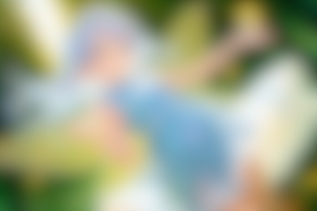 フェアリーダンス1