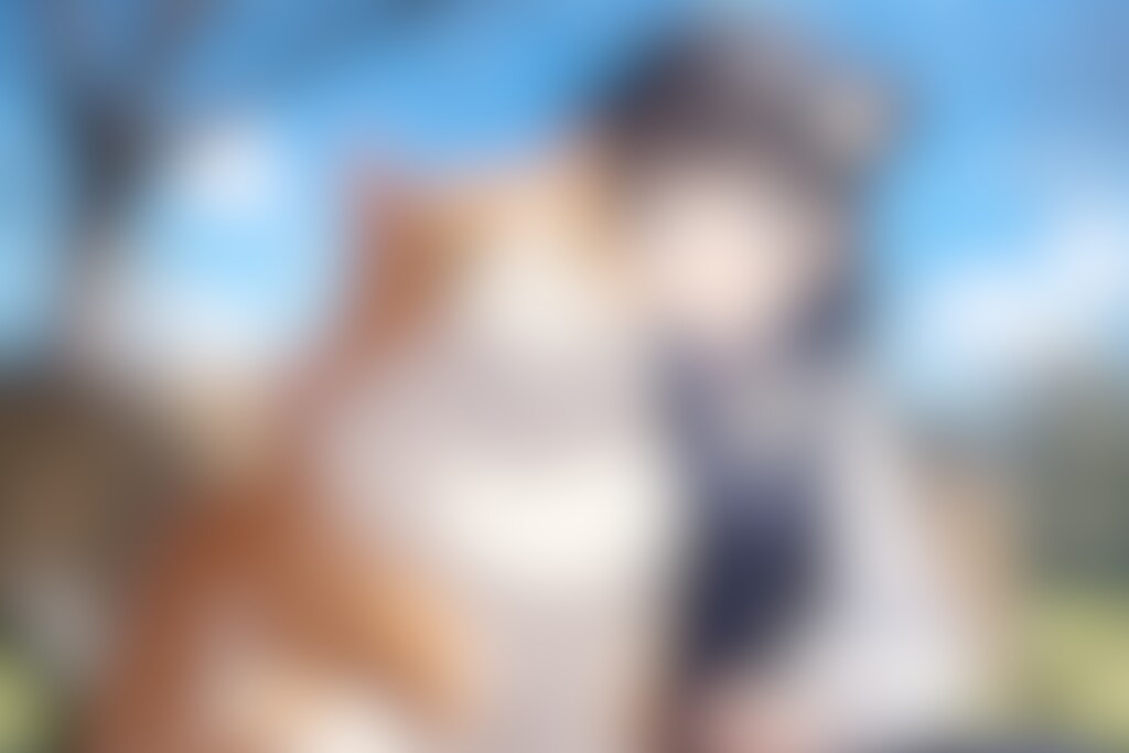 猫🐈とおだんごちゃん🍡✨106～112