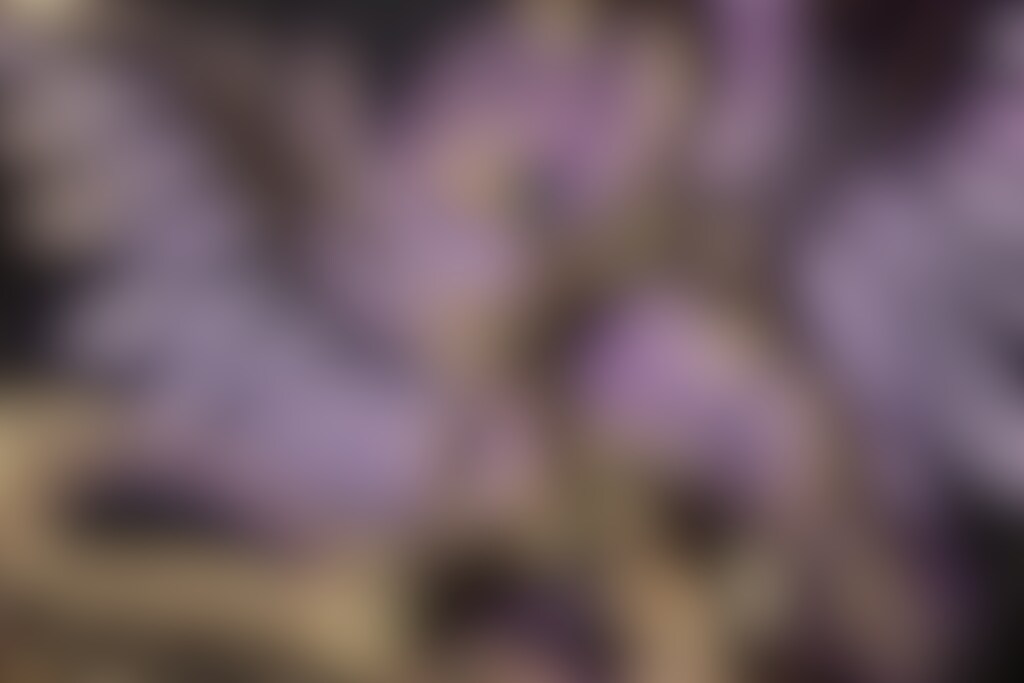 グリフォンネオンメカ