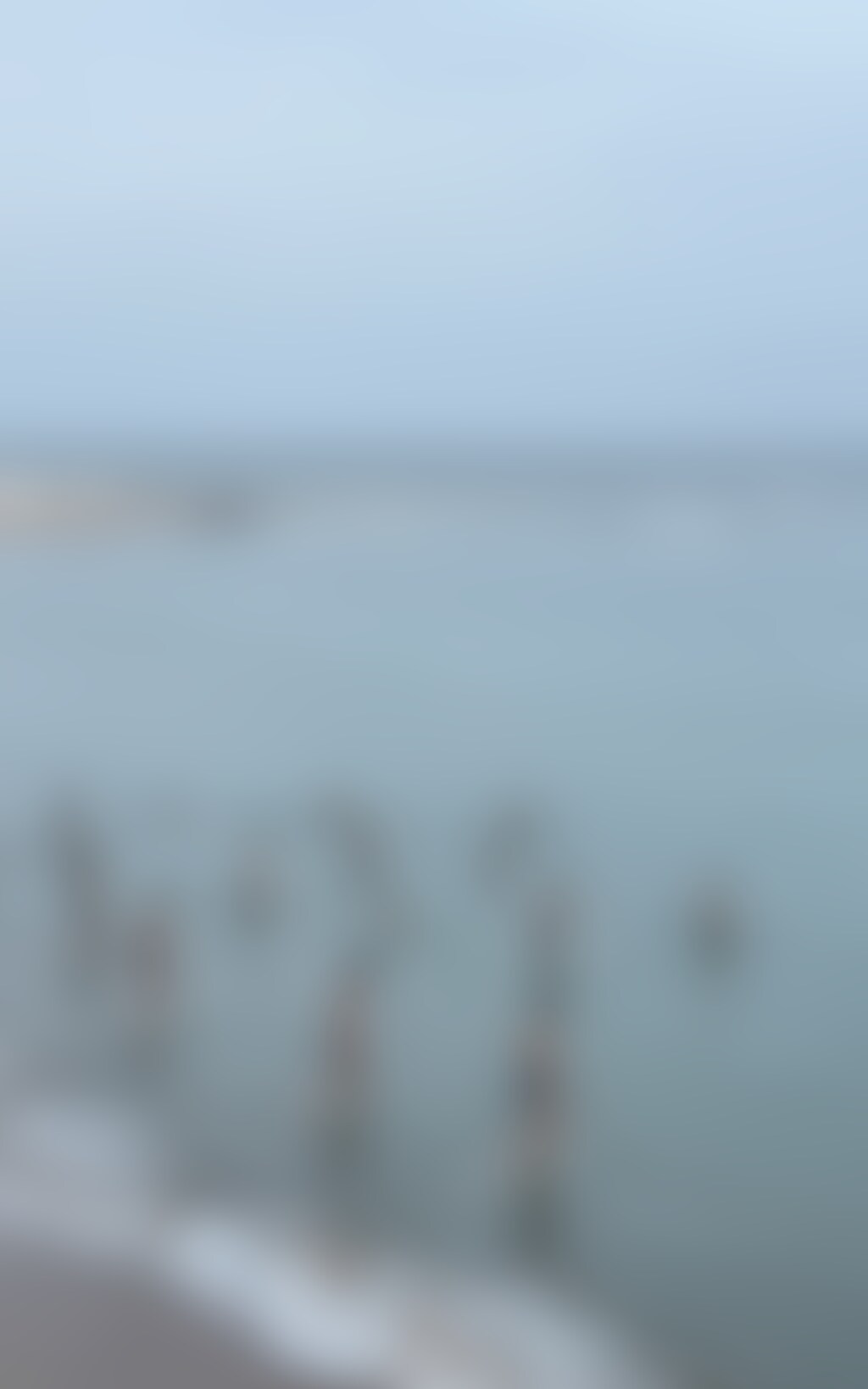 潜入・寒中水泳大会