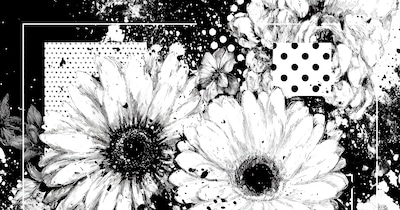 いろのない花|Flower Without Color