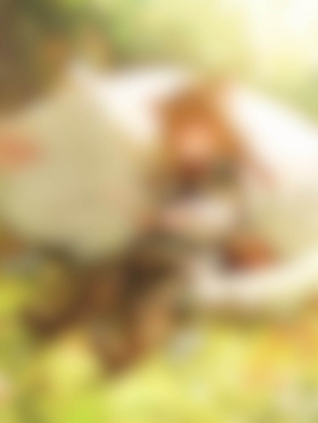 猫さんと。