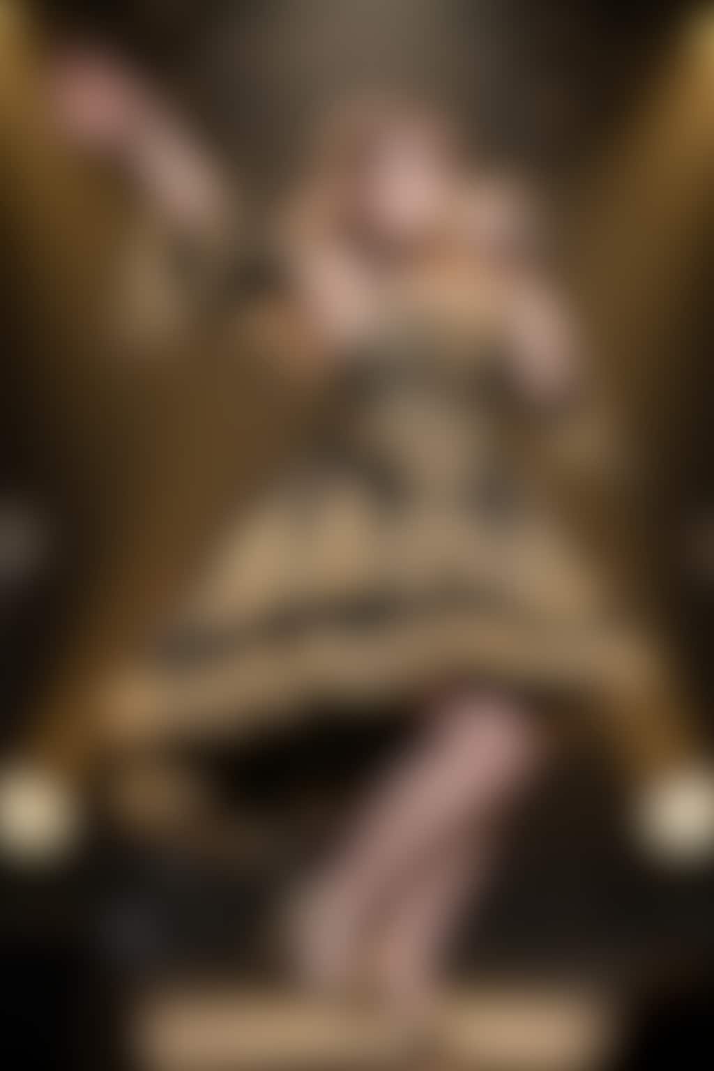 星彩歌姫　壱