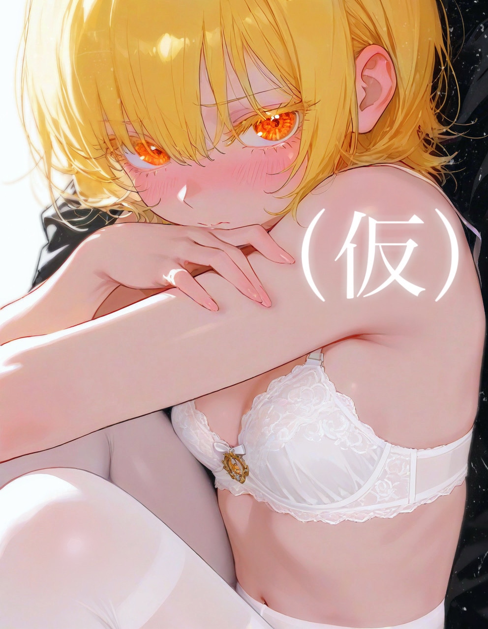 (仮)　説明