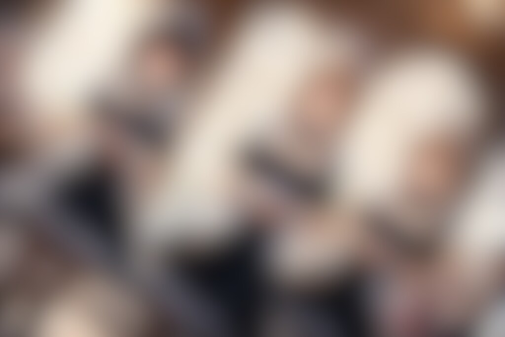 新入り王宮メイドご挨拶