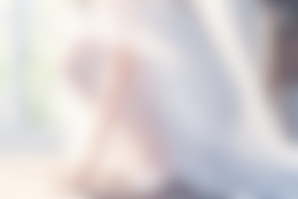 花嫁 猫の視点453～459