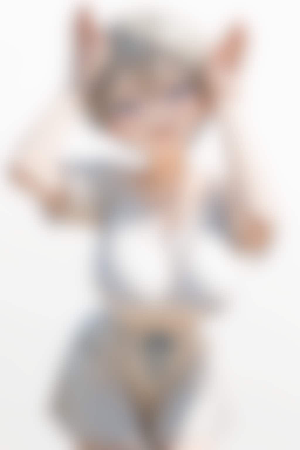 いろいろ