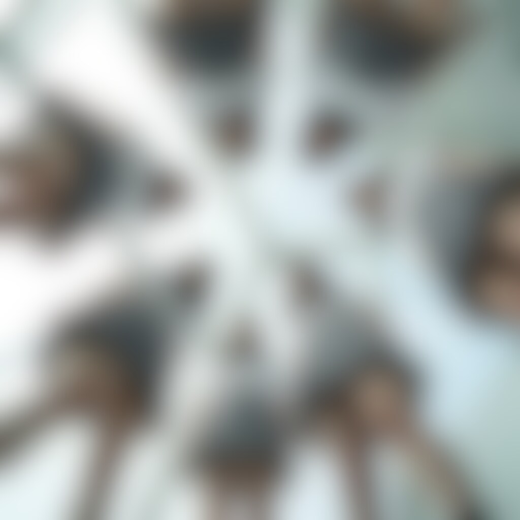 世界の中心で…