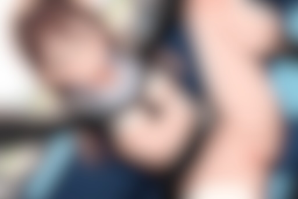 きょうのこはるさん