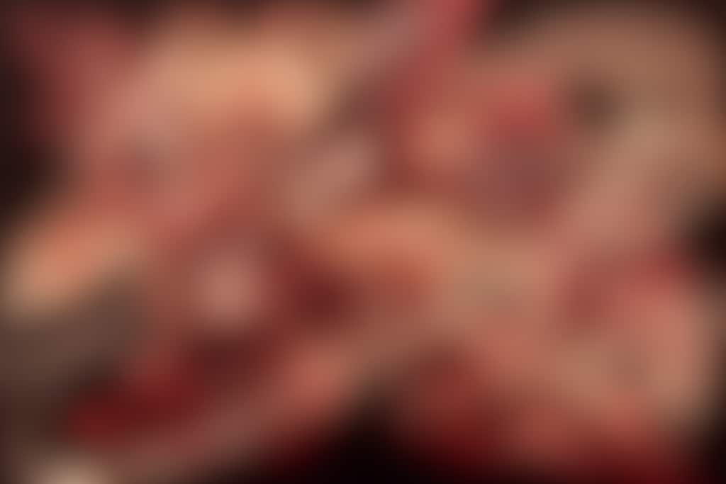 躍動ビーストメカ