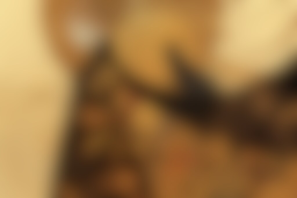 世紀末・猫🐈✨92～98