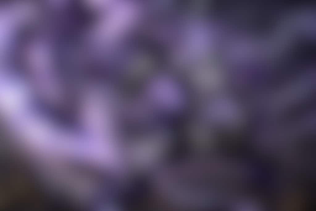 ウルフ型メカとバトルアックス