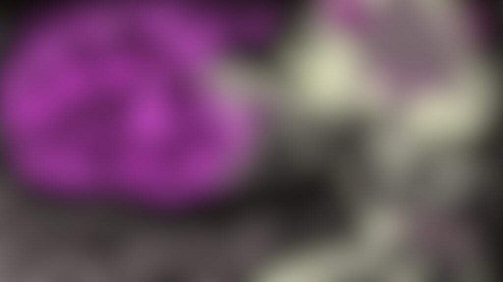 拳で語る世界Ver2