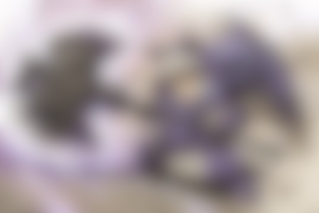 バトルアックスウルフメカ娘