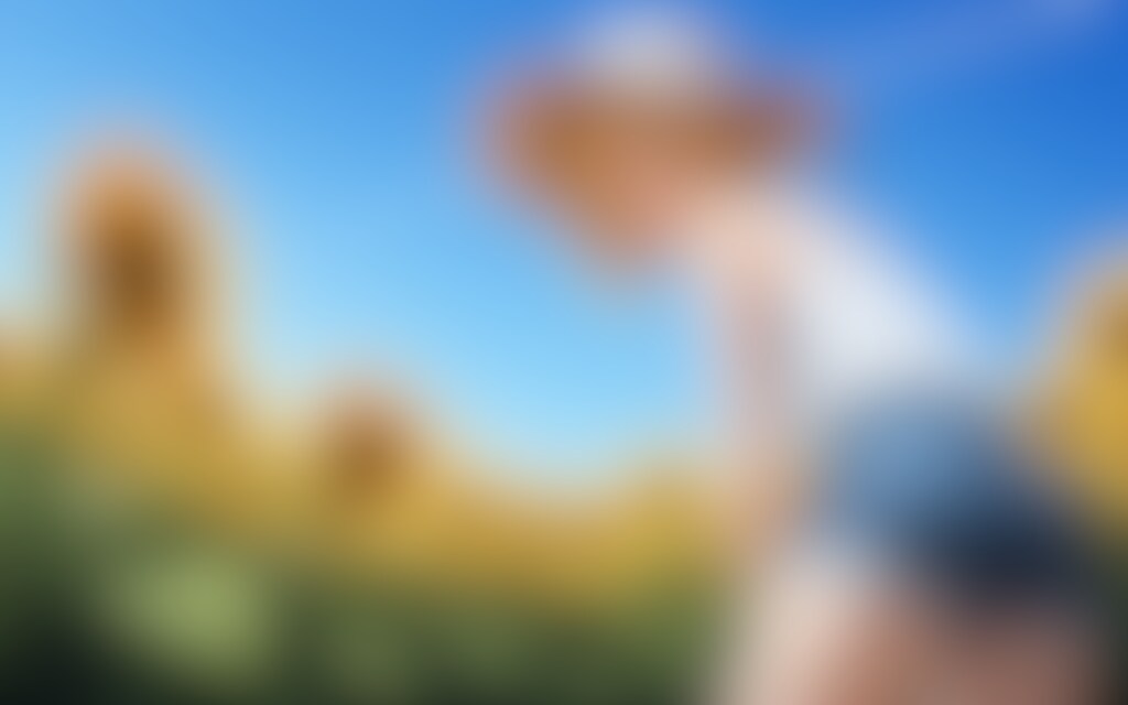 ひまわり畑