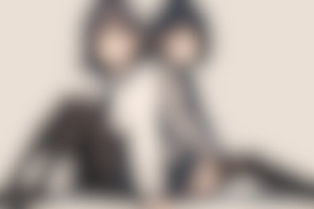 JK猫の視点439～445