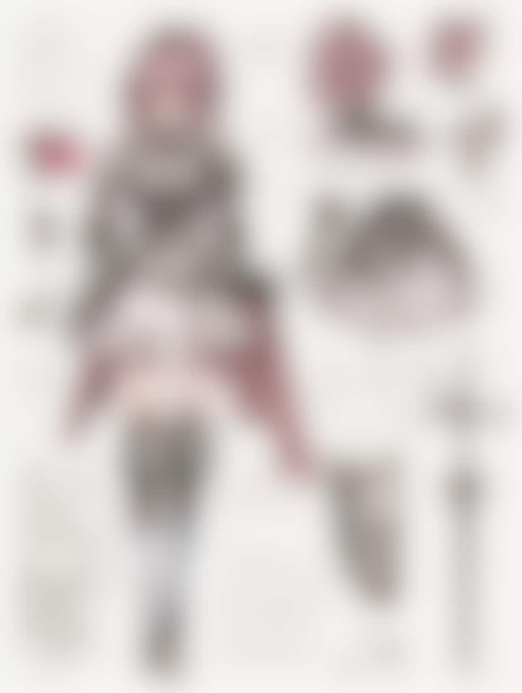 姫騎士　設定資料風。