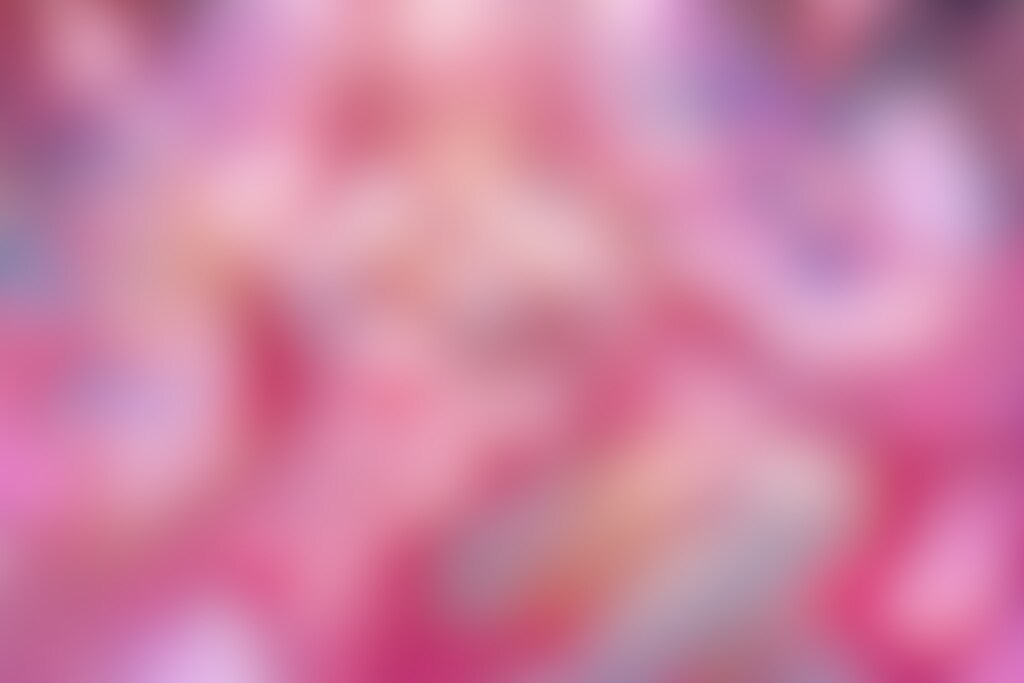 桜色、満開ライブ　～ Full Bloom Concert ～