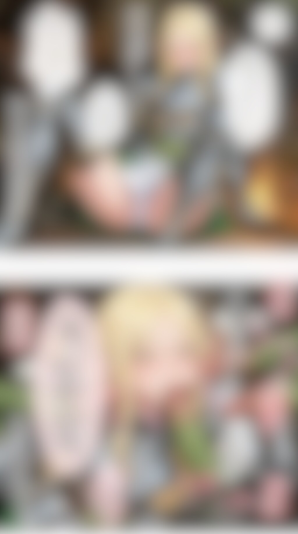 ゴブリンたちにやられちゃうシルヴィア