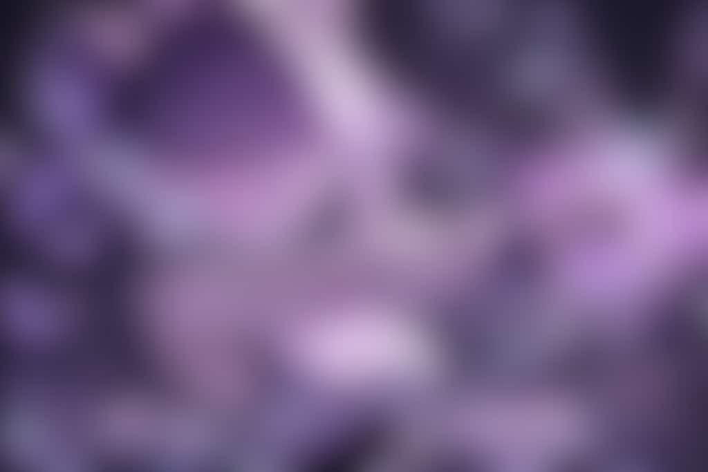 バトルガール‼