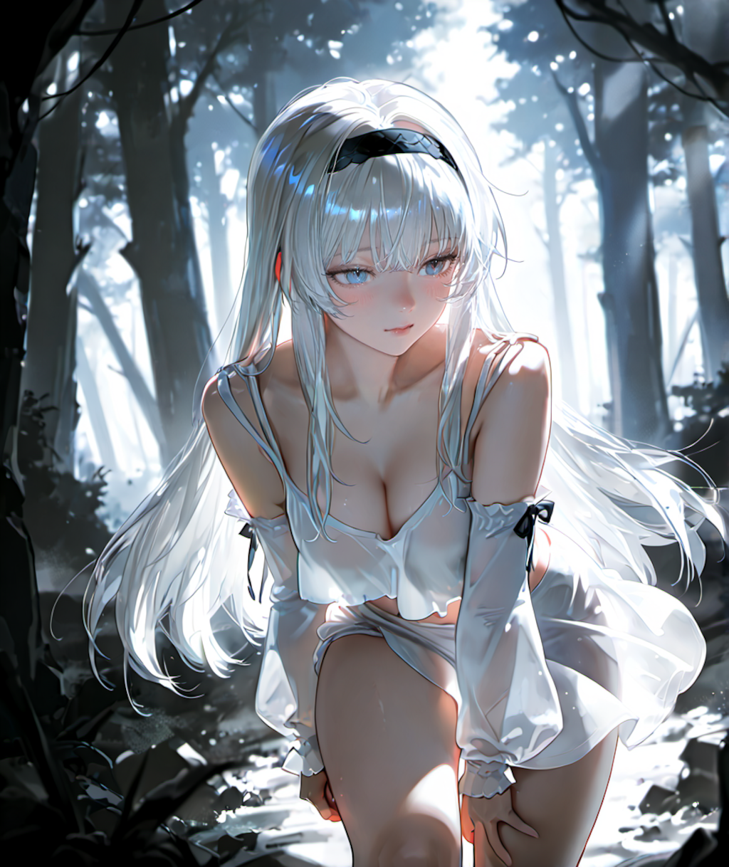 白の世界　８枚