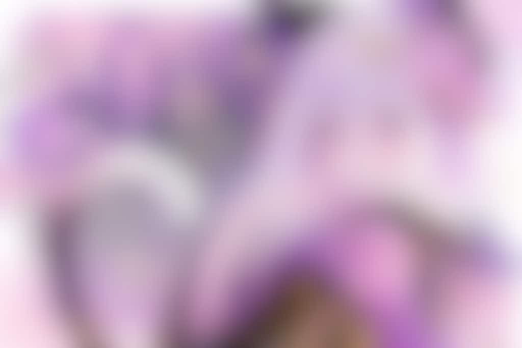 和の煌めきと猫ガール