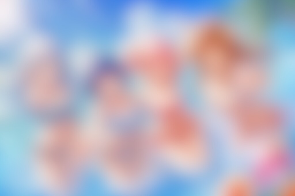 魔法少女の夏