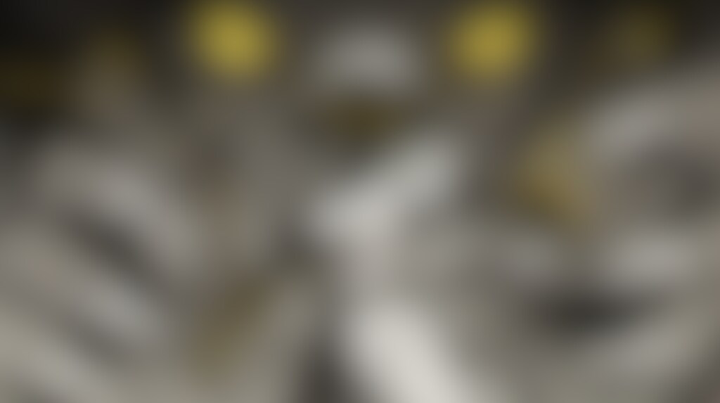 躍動ビャッコ