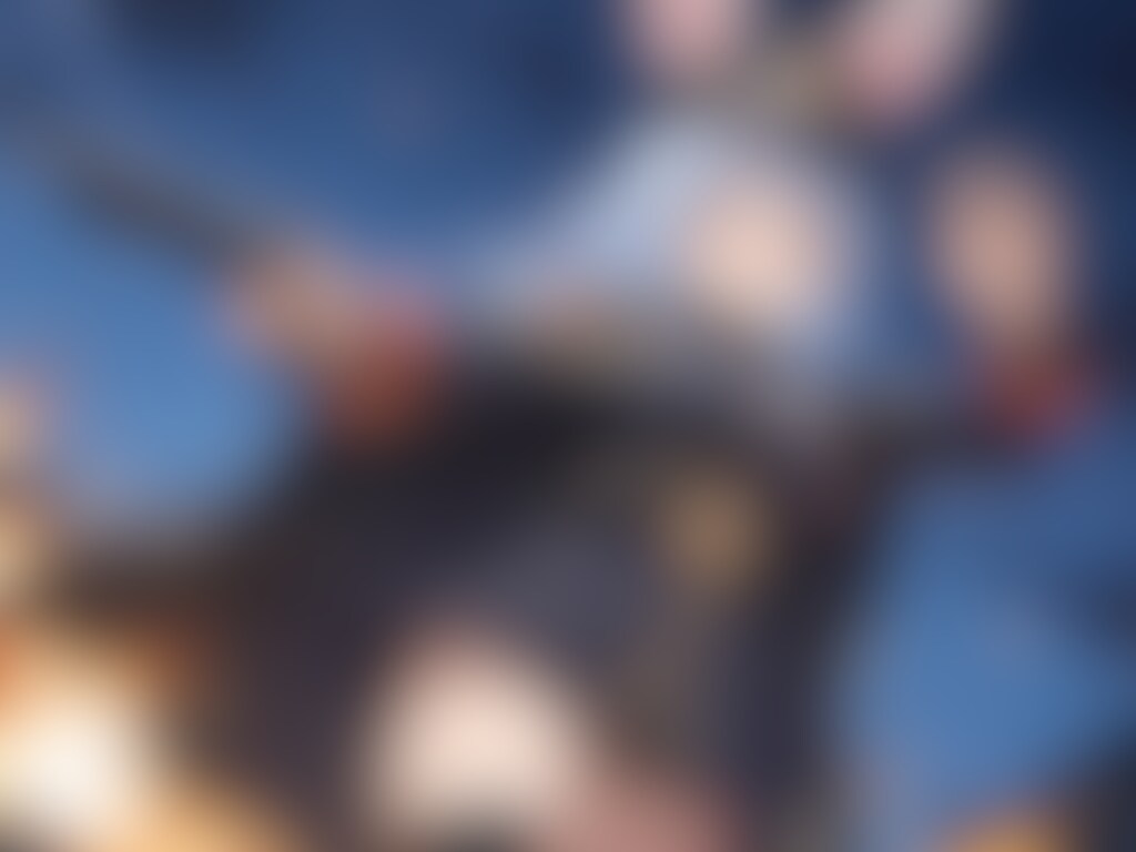 【兎田ぺこら】世界一ミリタリーが似合う兎【VTuber】