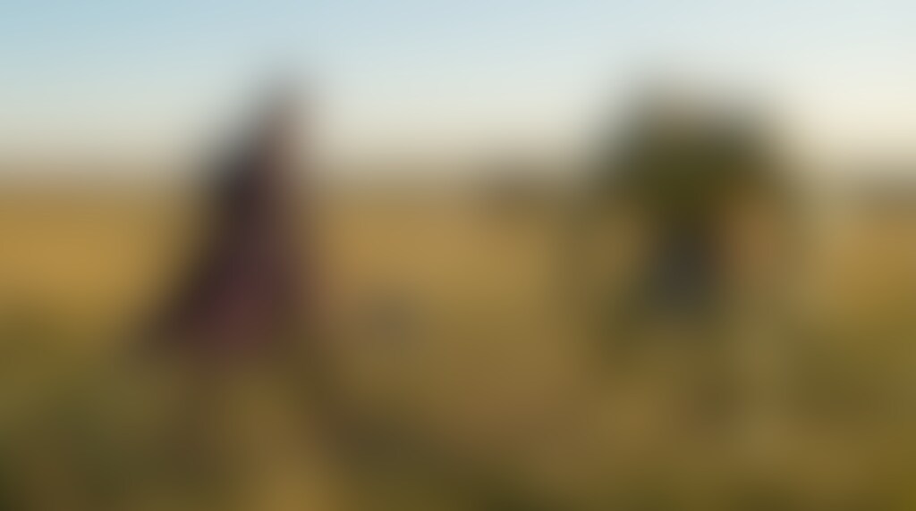 エロ動画「モンスターにイカされる（仮称）」オーガ編