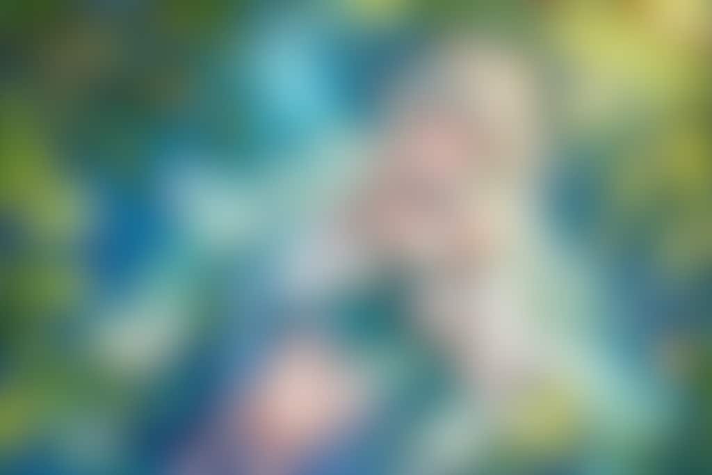 湖畔のエルフ