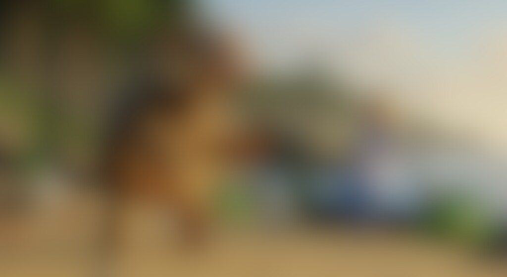 ウミガメもどきの哀愁漂う「キャラベソング」-2