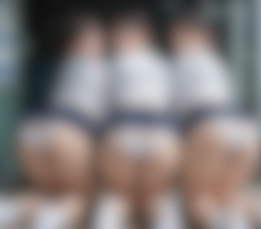 アンスコのある風景