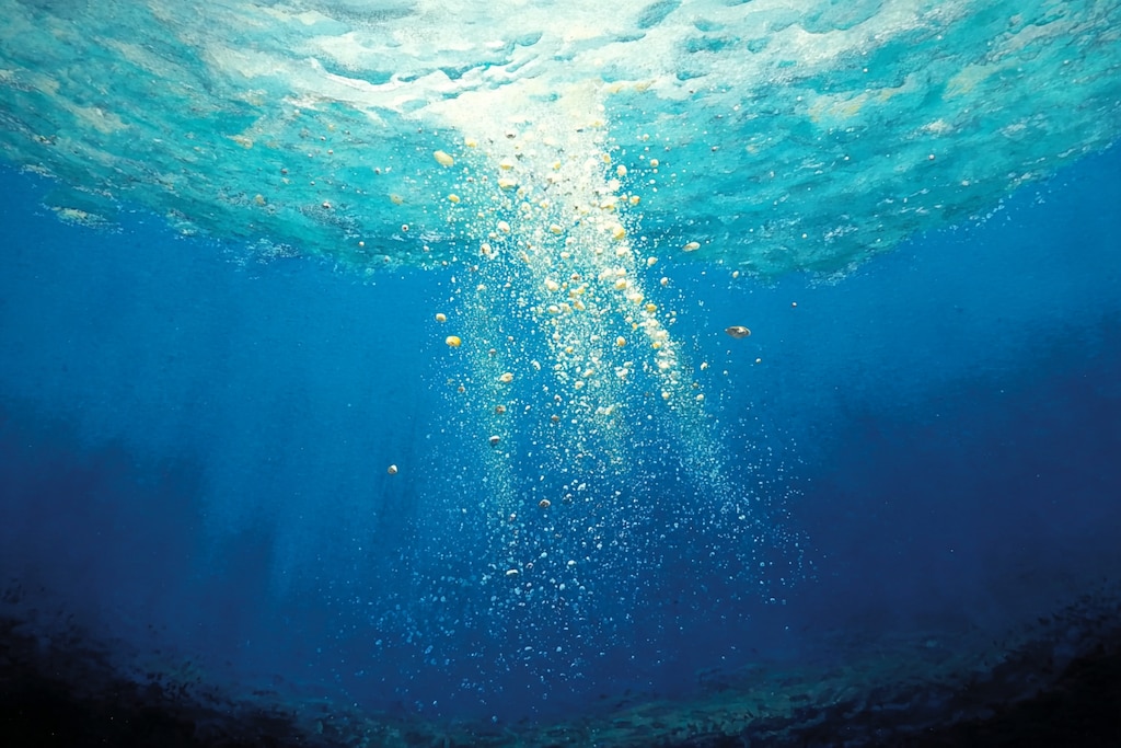 チーができるまで