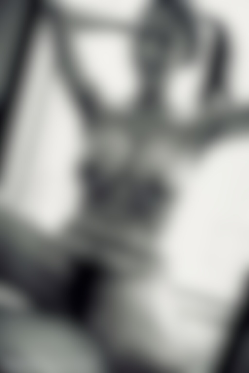 ザ・剛毛 ワンピース＆ヌード編④