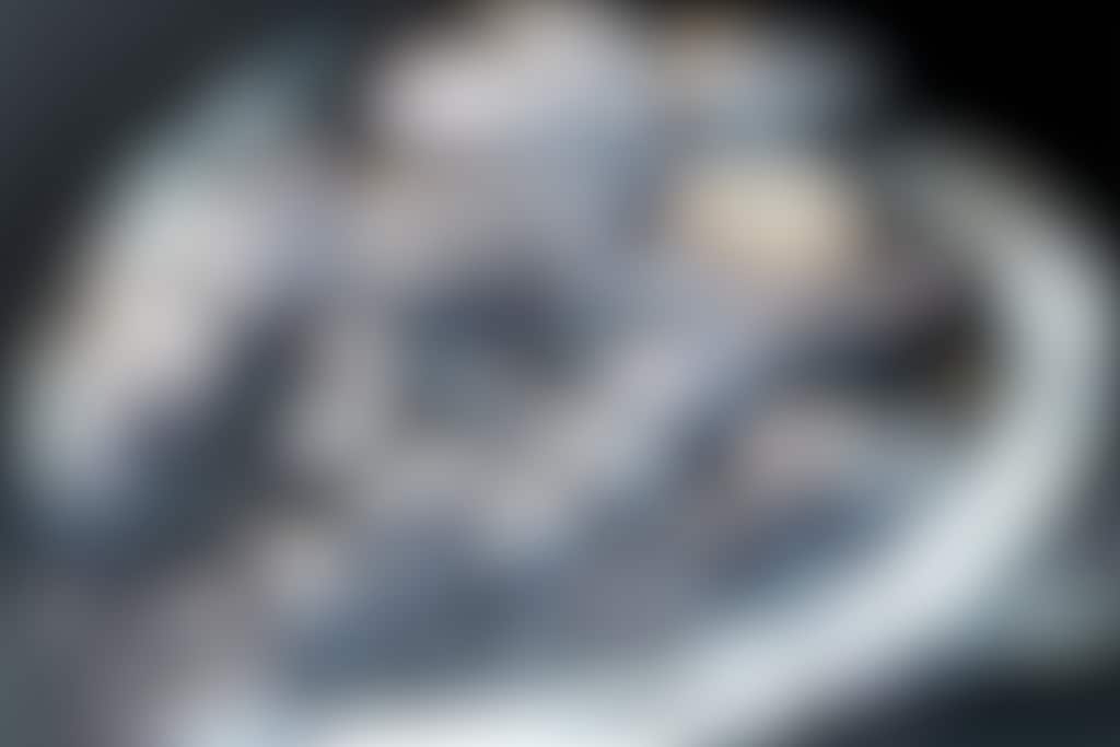 サーベルタイガークロウ