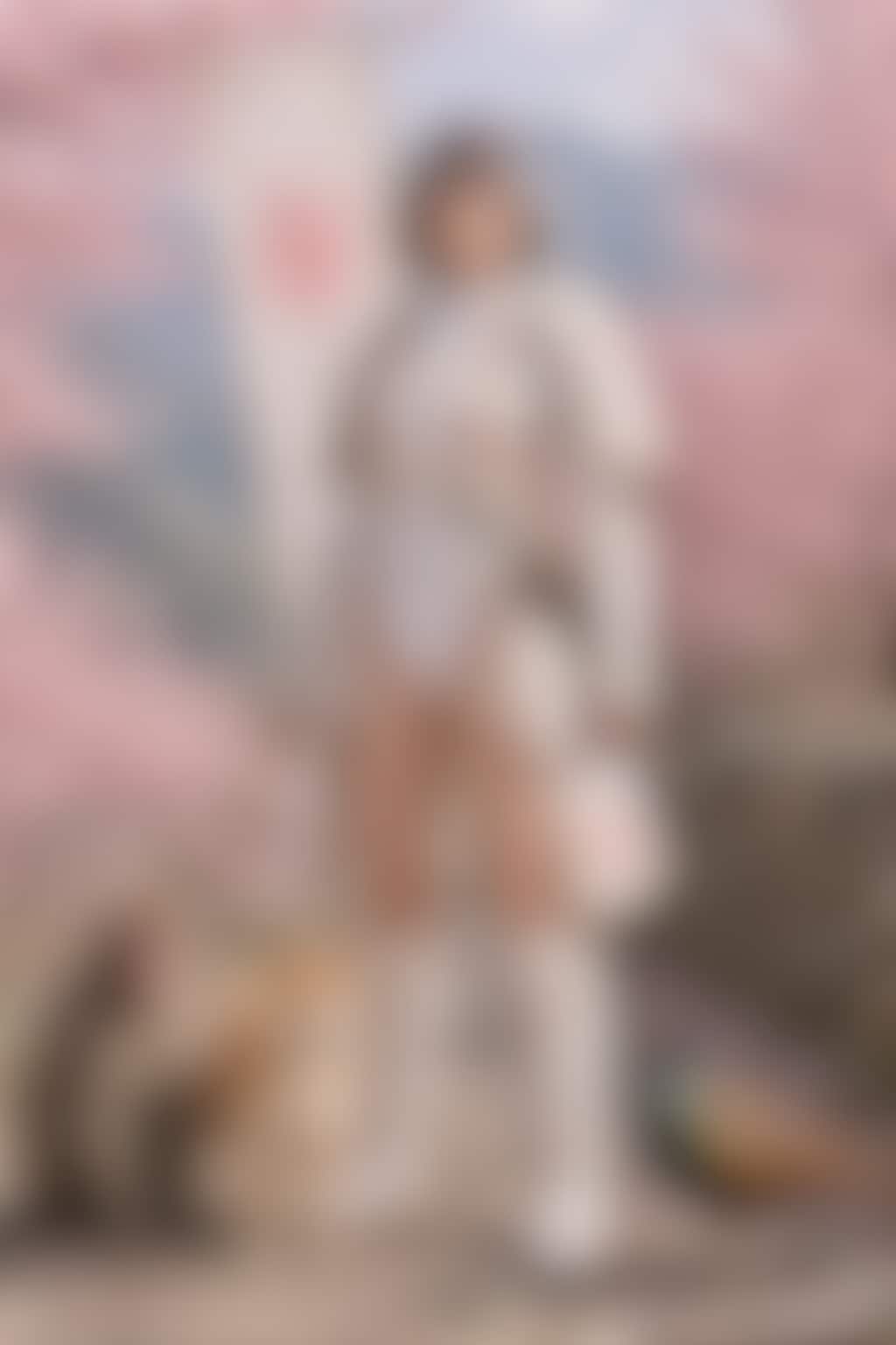 桃華鬼姫