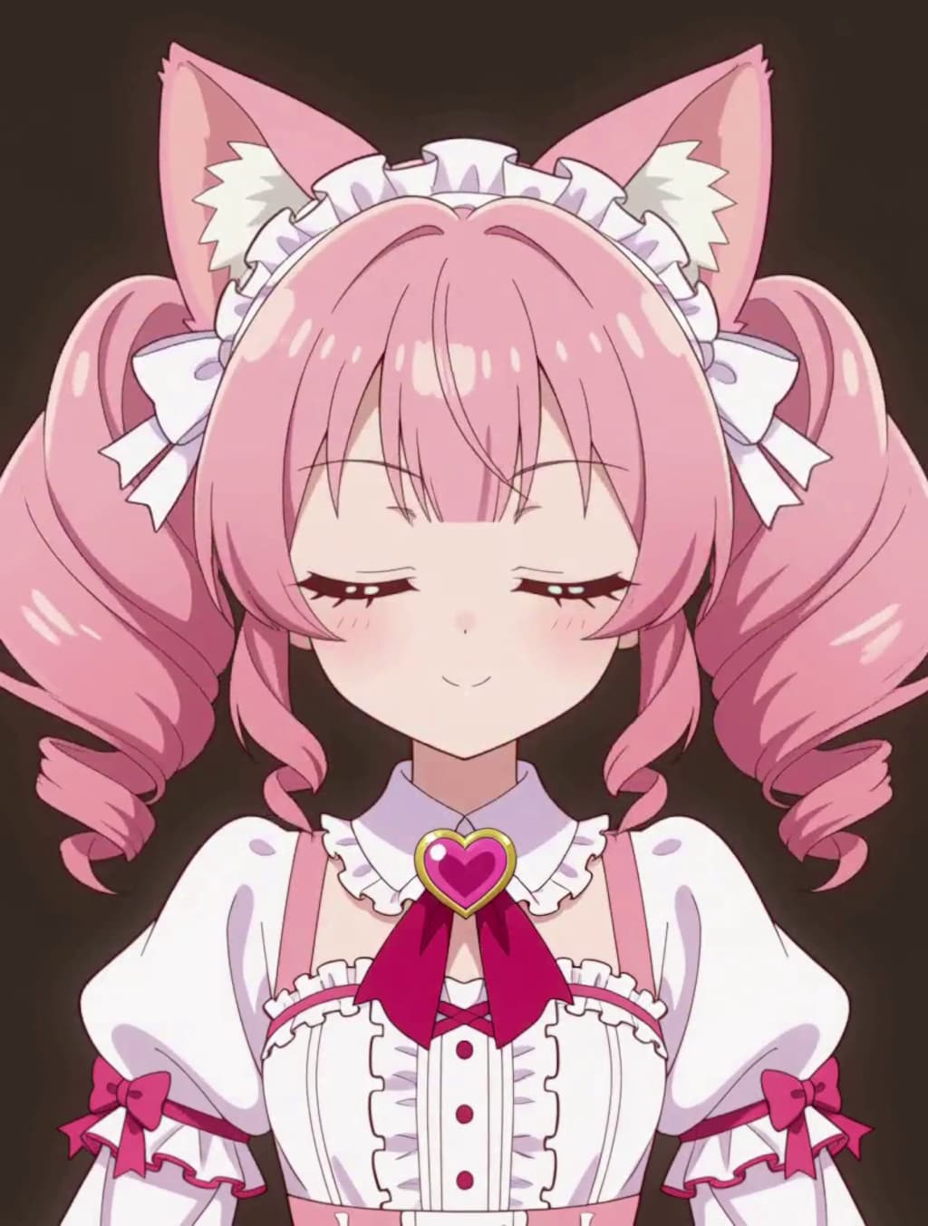 変身！魔法少女 ねこちゃん【パラパライラスト４０】