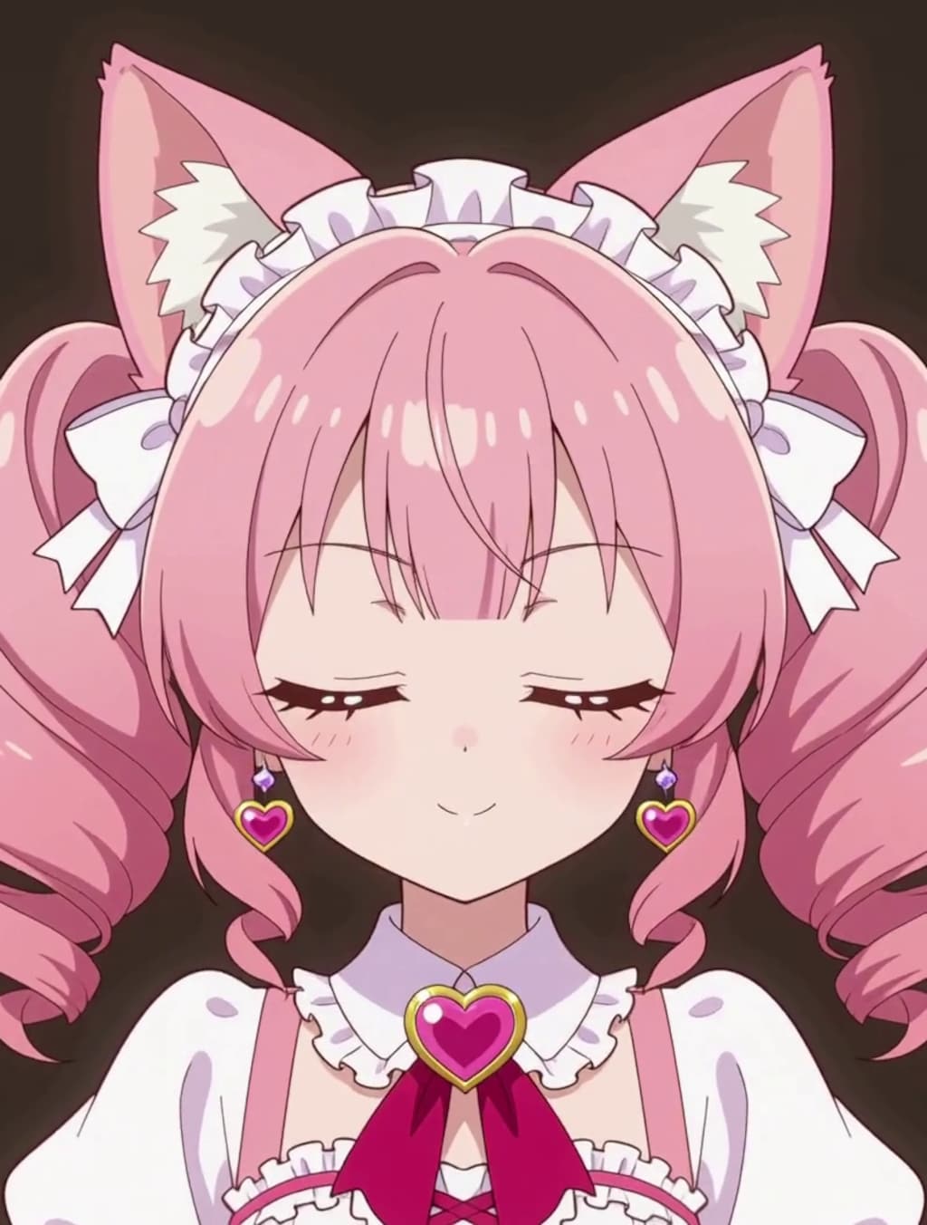 変身！魔法少女 ねこちゃん【パラパライラスト４０】