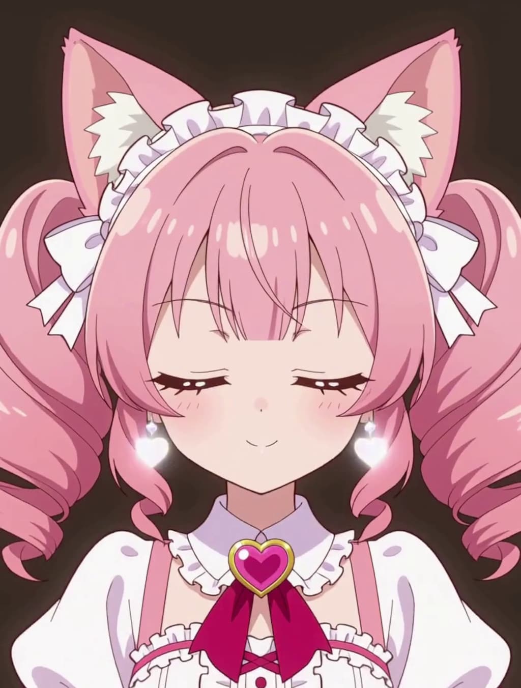 変身！魔法少女 ねこちゃん【パラパライラスト４０】
