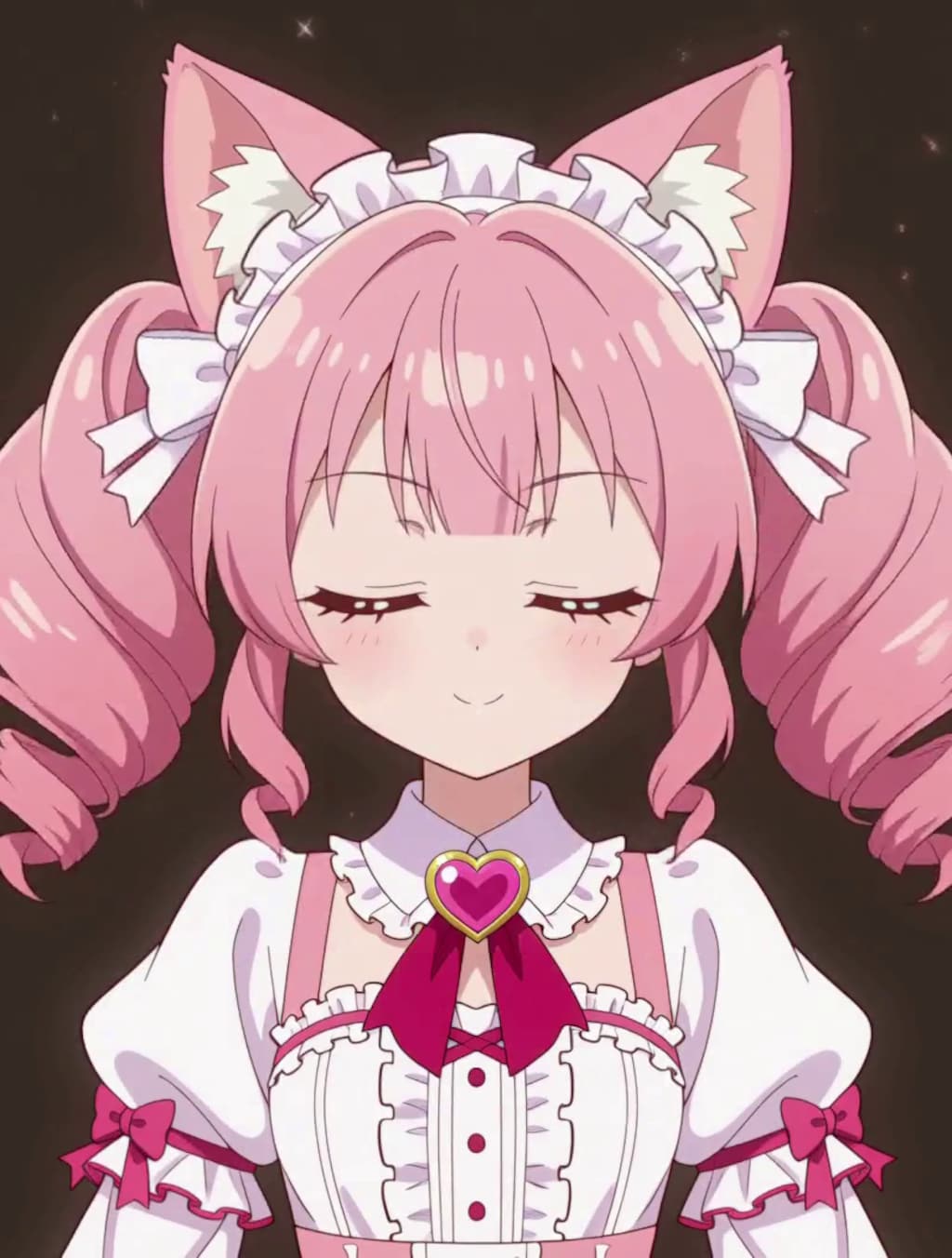 変身！魔法少女 ねこちゃん【パラパライラスト４０】
